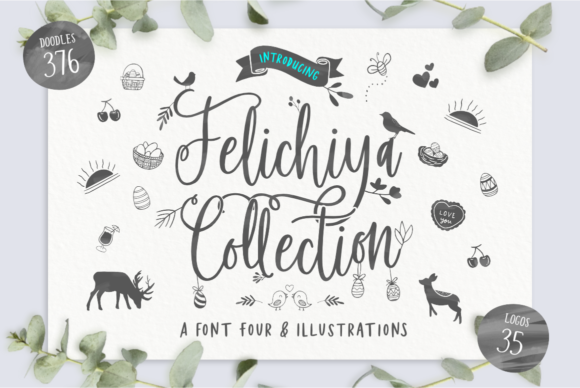 Felichiya Collection: A Versatile Font for Modern Designs