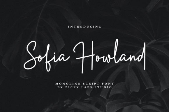 Sofia Howland: Crafting a Luxurious Visual Voice